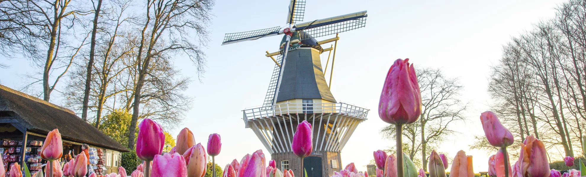 Keukenhof - Keukenhof