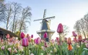 Keukenhof