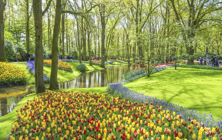 Keukenhof