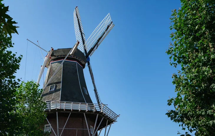 © Corinne - stock.adobe.com - Mühle Adam in Delfzijl