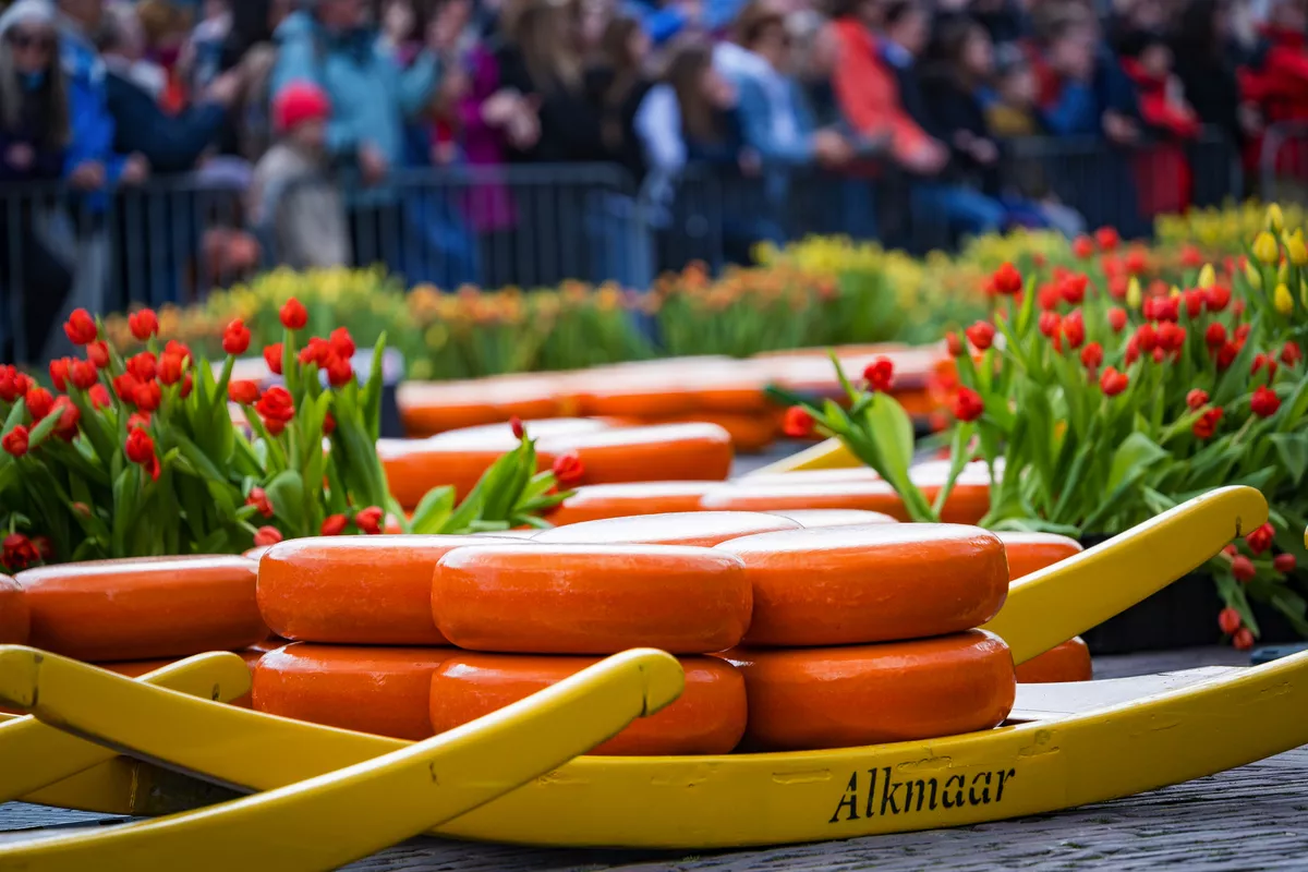 Käsemarkt in Alkmaar - © Denis Feldmann - stock.adobe.com