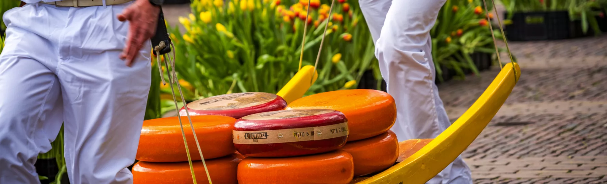 Käsemarkt in Alkmaar - © Denis Feldmann - stock.adobe.com