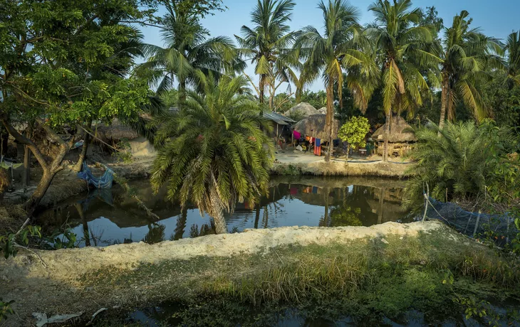 Die Weiten des Sundarbans Thurgau Ganga Vilas