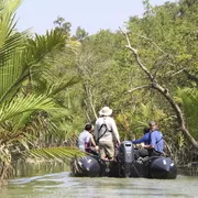 Sundarban, Bali Island