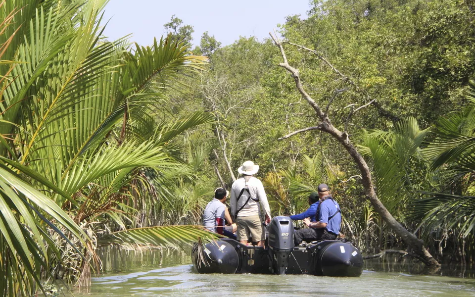 Sundarban, Bali Island