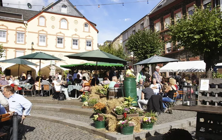 Vom Mosel-Radweg aus schöne Weinberge entdecken