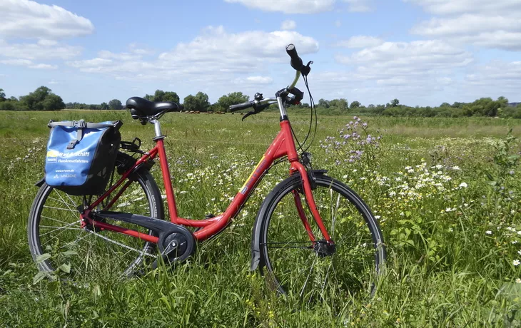 Olympia: Vom Mosel-Radweg aus malerische Weinberge entdecken