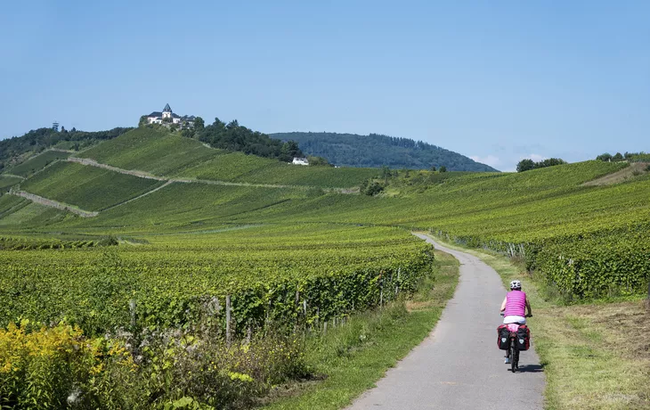 Vom Mosel-Radweg aus malerische Weinberge entdecken: Olympia Saarburg - Koblenz