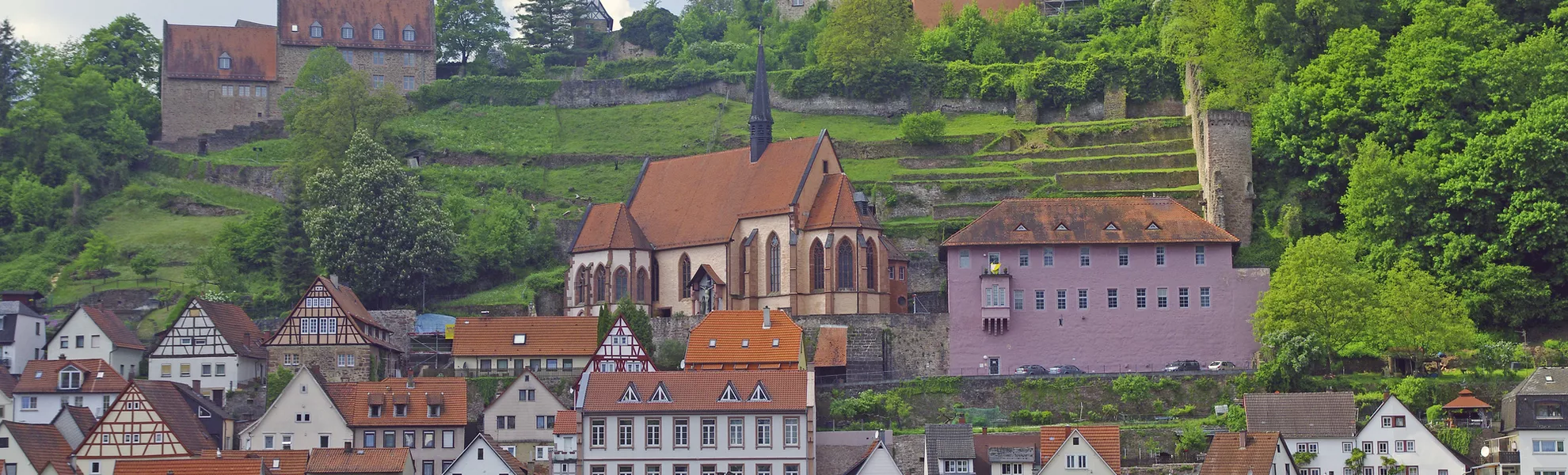 Eberbach am Neckar - SE-Tours