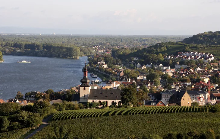 Rhein bei Nierstein - SE-Tours