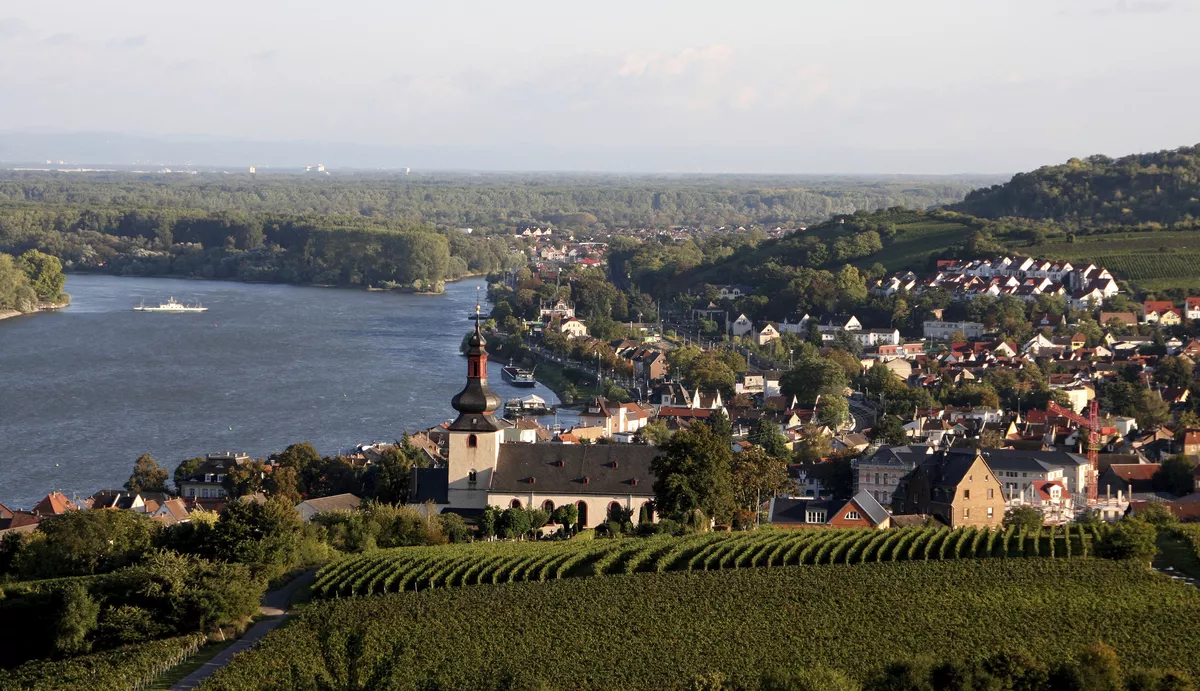 Rhein bei Nierstein - SE-Tours