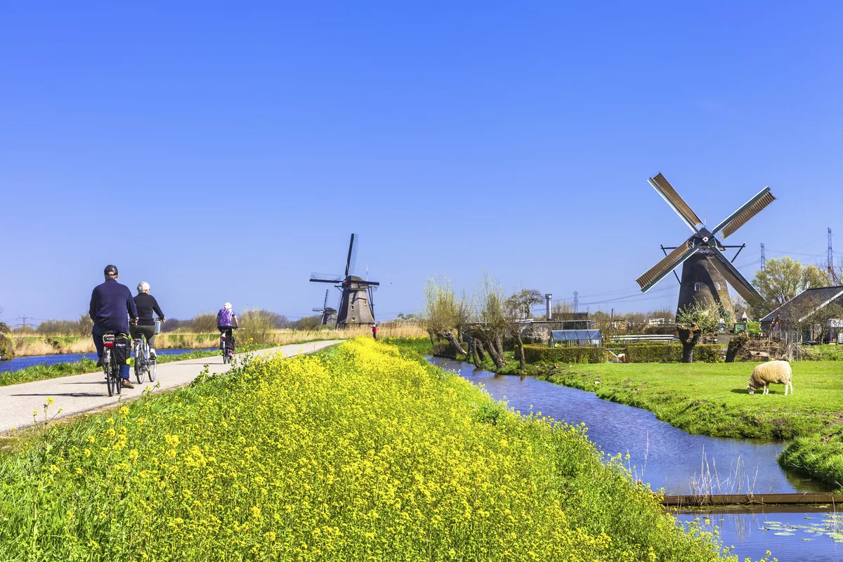 Velofahrt bei Kinderdijk - © Copyright (c) 2015 leoks/Shutterstock.  No use without permission.