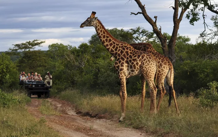 Von Windhoek nach Kapstadt mit African Explorer