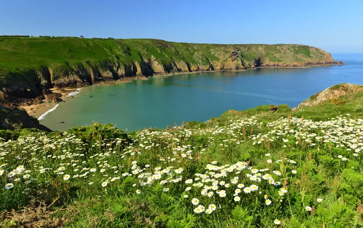 ©alagz - stock.adobe.com - Plémont auf Jersey