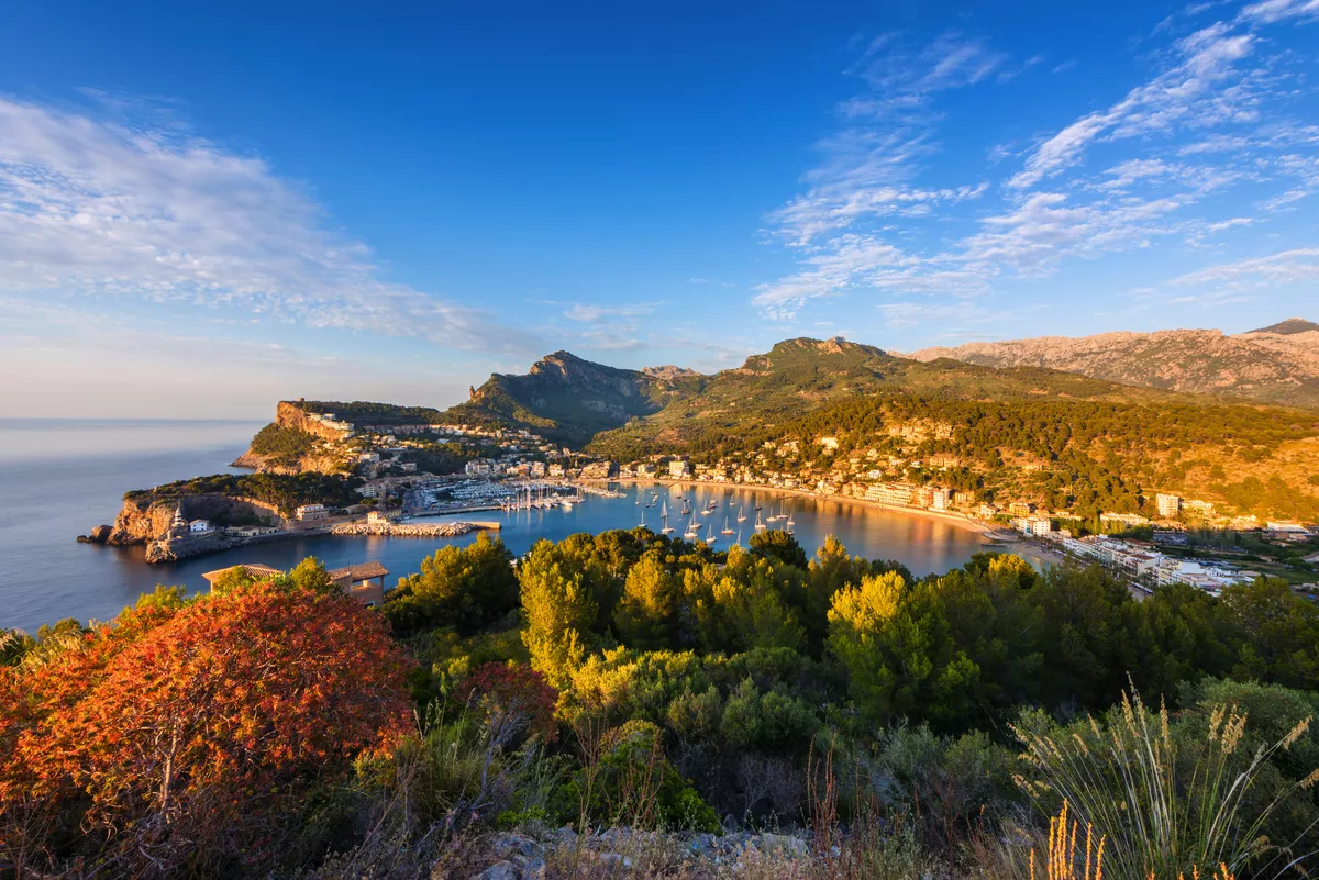Panoramablick auf Port de Sóller auf Mallorca - allard1 - stock.adobe.com