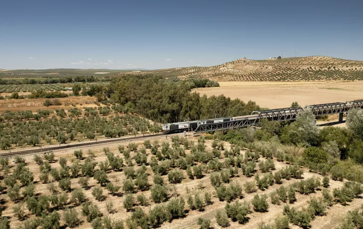 © Isabela Pacini MERIAN - Al Ándalus