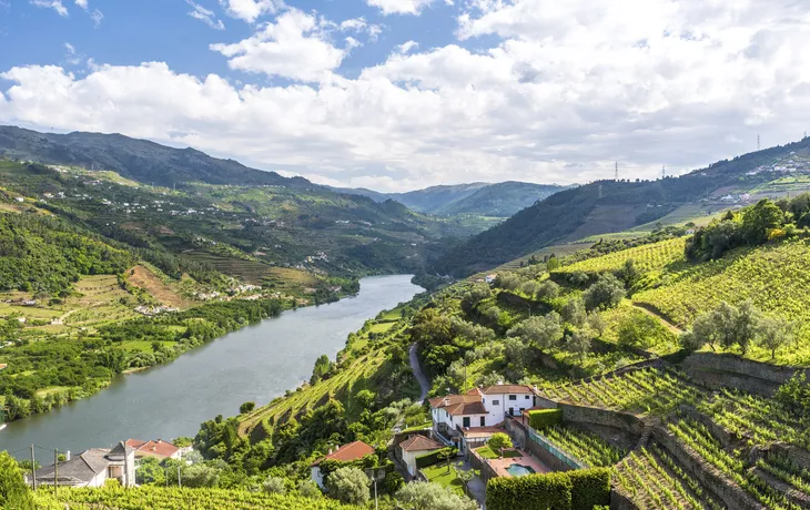 © Simon Dannhauer - stock.adobe.com - Vallée du Douro