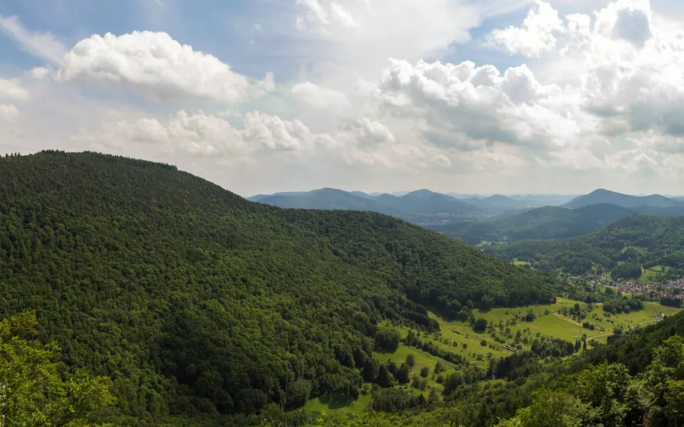 Panorama vom Pfälzer Wald in Deutschland mit blauen Himmel und Wolken - © Monodio Photography - stock.adobe.com