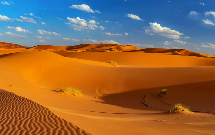 © Marc Jedamus - stock.adobe.com - Dünen der Sahara bei Erfoud in Marokko