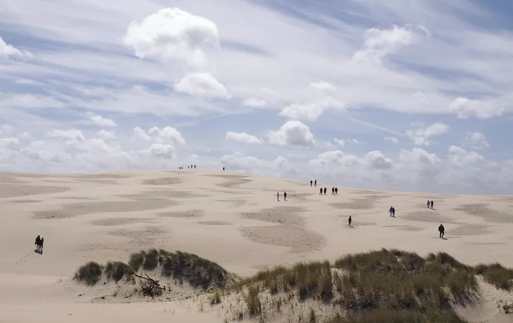 © imohn - stock.adobe.com - Wanderdüne Råbjerg Mile