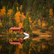 herbstliches Waldgebiet Bymarka nahe Trondheim