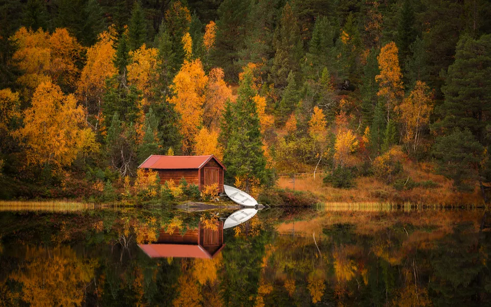 herbstliches Waldgebiet Bymarka nahe Trondheim