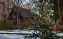 ©Bomenius - stock.adobe.com