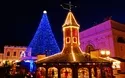 © LianeM - stock.adobe.com