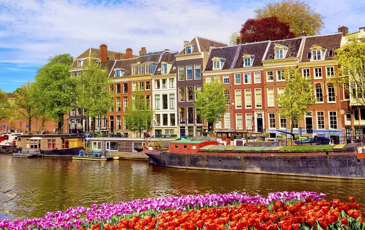 © Nikolay N. Antonov - stock.adobe.com - Amsterdam