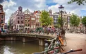 © adisa - stock.adobe.com