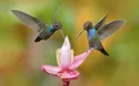 © ondrejprosicky - Fotolia