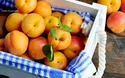 © posinote - stock.adobe.com