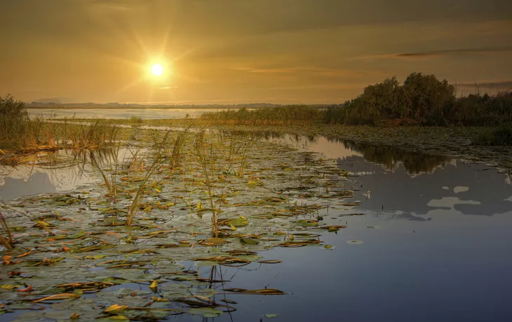© Frank - stock.adobe.com - Abendstimmung im Donaudelta