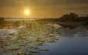 © Frank - stock.adobe.com