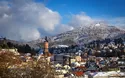 © Mathias - stock.adobe.com
