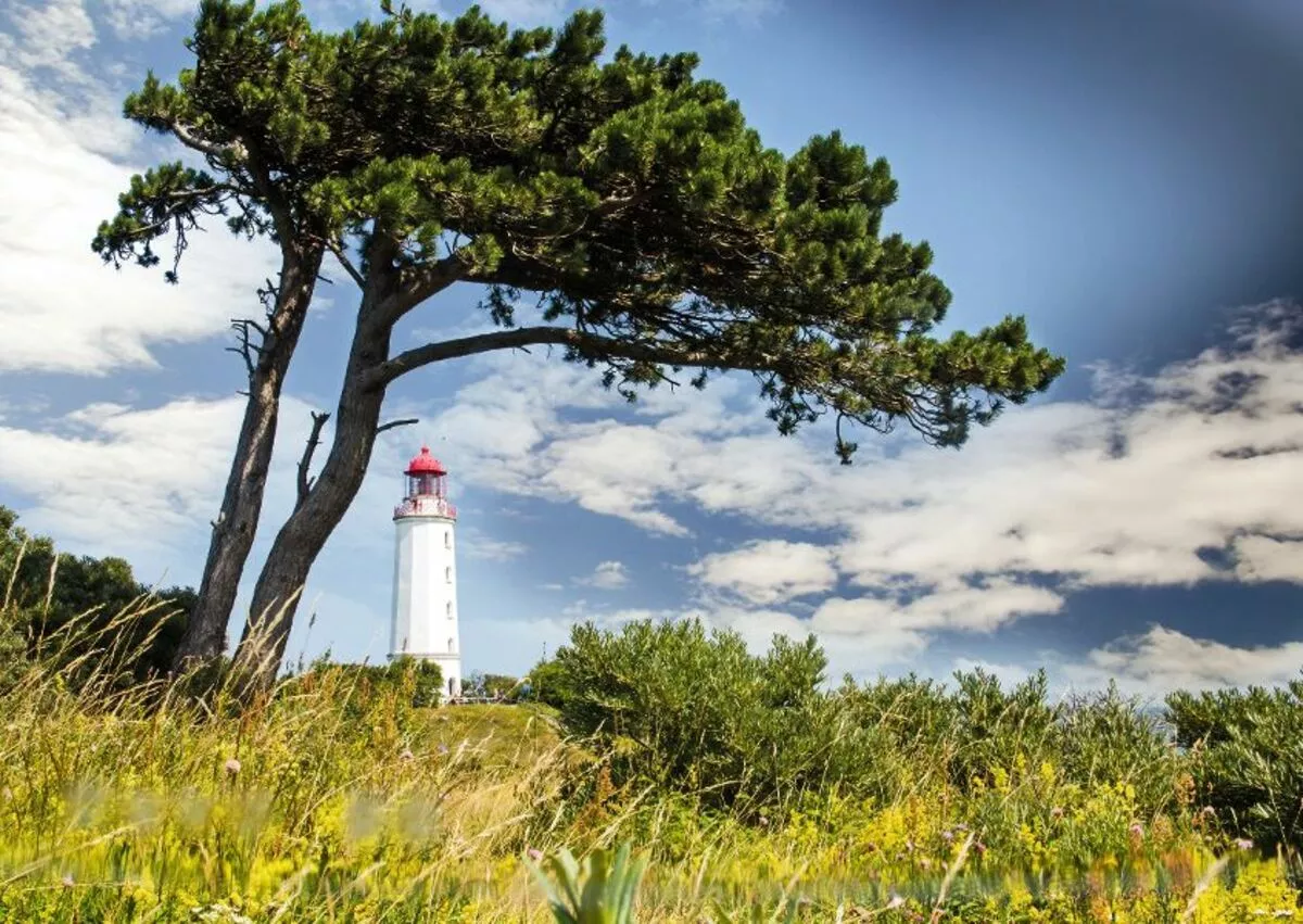 Lechtturm Dombusch auf der Insel Hiddensee - © doris oberfrank-list - Fotolia