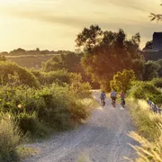 Fahrradtour durch den Nationalpark Unteres Odertal