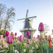 Keukenhof
