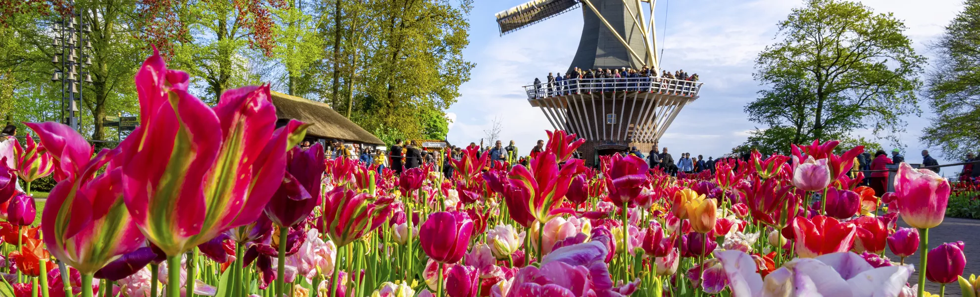Keukenhof - © Getty Images