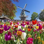 Keukenhof