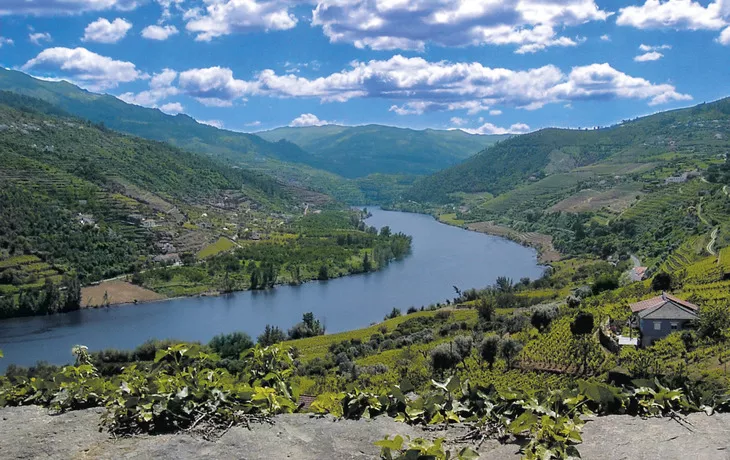 Dourotal