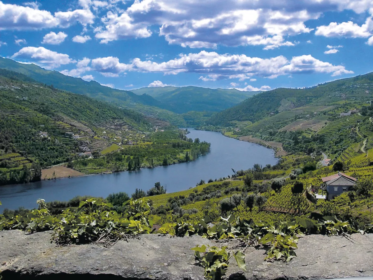 Dourotal