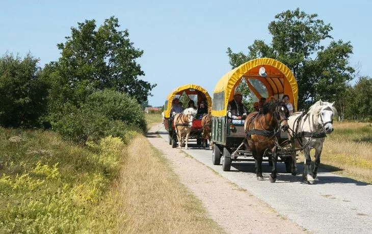 Kutschenfahrt auf Hiddensee