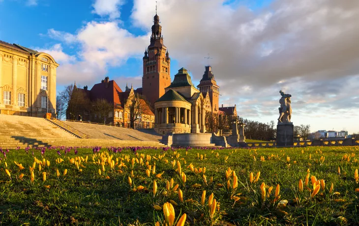© Mike Mareen - stock.adobe.com - Krokusse blühen auf der Hakenterrasse in Stettin