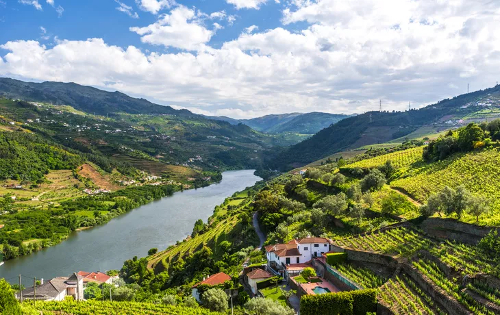 Schönes Dourotal mit Porto Douro Spirit
