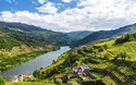 © Simon Dannhauer - stock.adobe.com