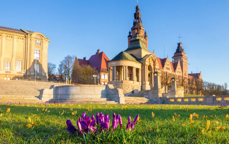 © Mike Mareen - stock.adobe.com - Krokusse blühen auf der Hakenterrasse in Stettin
