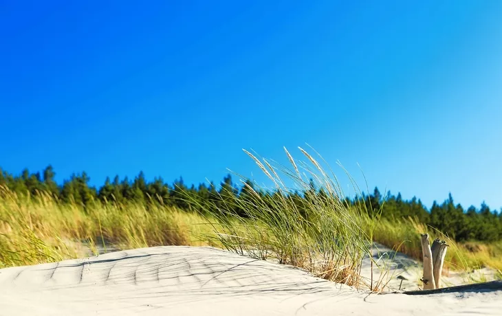 © arsdigital - Fotolia - Dünen in Swindemünde, Polen