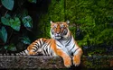 © Akkharat J. - stock.adobe.com