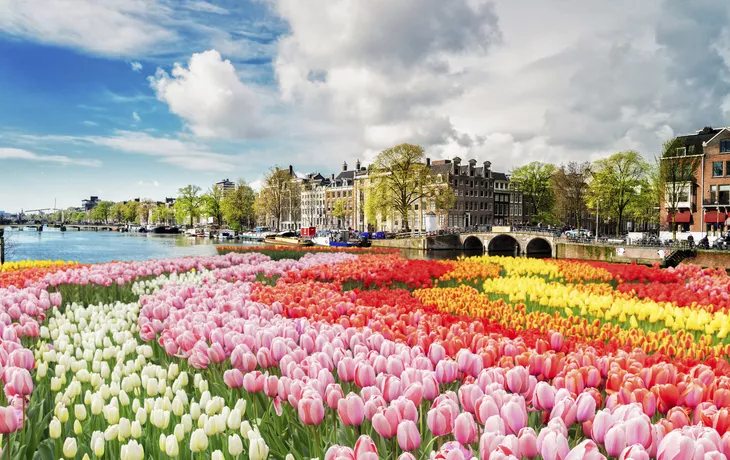 © Getty Images/iStockphoto - Amderdam